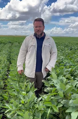 Startup de Mato Grosso acelera o melhoramento genético da soja 