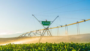 Bauer e Irricontrol levam inovação e crédito para a Irrigashow 2026