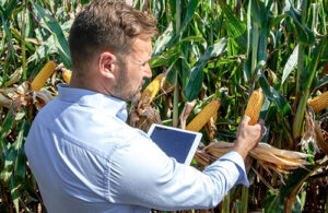 Bayer leva inovações e lançamentos para o 35º Congresso Nacional de Milho e Sorgo