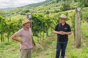 Cooperativa Vinícola Garibaldi reforça orientações a produtores diante da possibilidade de Super El Niño
