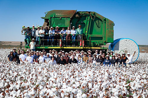  Cotton Brazil Dialogues 2026 encerra edição com 50 participantes internacionais em imersão na produção brasileira de algodão