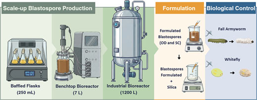Novo processo viabiliza produção industrial de bioinseticidas com eficácia no controle de pragas agrícolas