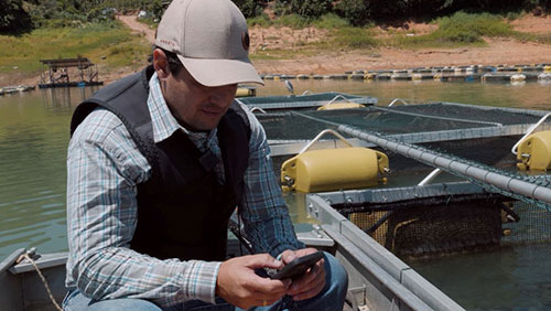 Pesquisadores desenvolvem metodologia para avaliar potencial de tecnologias digitais na agricultura