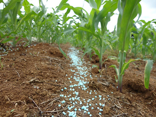 Firjan comemora aprovação do Programa de Desenvolvimento da Indústria de Fertilizantes