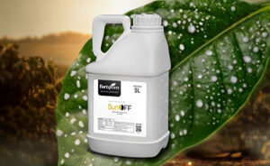 Fortgreen anuncia nova estratégia em apoio aos distribuidores frente aos desafios do mercado de crédito