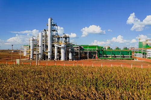 Lallemand integra biocombustíveis, nutrição animal e microbiologia para impulsionar o agro brasileiro