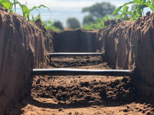 Clima deixa de seguir o calendário e muda estratégia do produtor de grãos no Centro-Oeste; especialista explica como reduzir riscos no campo