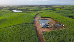 Usinas do Nordeste registram ganhos de até 92,8% na produtividade da cana com irrigação por gotejamento