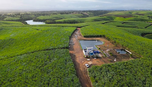 Irrigação por gotejamento eleva em até 92,8% a produtividade da cana em usinas do Nordeste