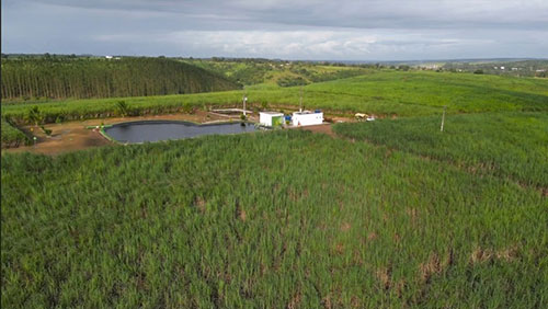 Usinas do Nordeste registram ganhos de até 92,8% na produtividade da cana com irrigação por gotejamento