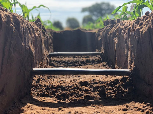  Clima deixa de seguir o calendário e muda estratégia do produtor de grãos no Centro-Oeste; especialista explica como reduzir riscos no campo