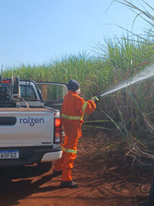 Mitos e Verdades: Raízen alerta para os perigos dos incêndios em canaviais e reforça a importância da prevenção