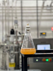 Síntese Agro Science soma R$ 90 milhões em investimentos para nacionalizar biotecnologia e combater estresse hídrico no campo