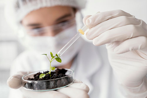  Síntese Agro Science soma R$ 90 milhões em investimentos para nacionalizar biotecnologia e combater estresse hídrico no campo