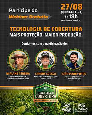 Planta de cobertura eleva produtividade da soja em até 8,1 sacas por hectare, aponta estudo