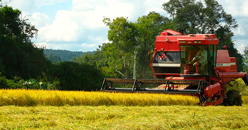 Superávit do agro paulista registra US$ 12,16 bilhões de janeiro a julho de 2026