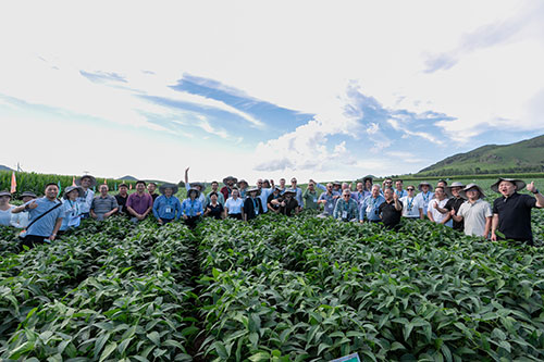Importante polo de produção agrícola e de pesquisas, Mongólia Interior (China) recebeu jornada técnica de brasileiros. Troca de informações foi destaque