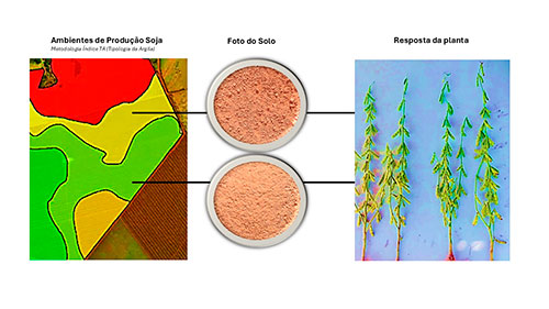 Tecnologia que analisa o solo transforma o manejo agrícola e comprova ganhos de produtividade.