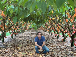 Nutrição contínua ganha espaço no manejo para elevar produtividade do cacau