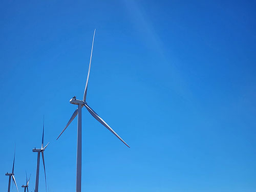 ADM adota energia eólica para reduzir emissões no processamento de soja