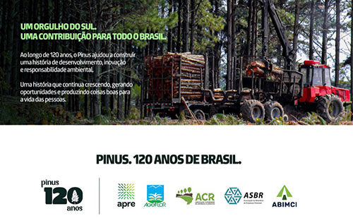 Campanha institucional mostra importância econômica, social e ambiental do Pinus, após 120 anos no Brasil