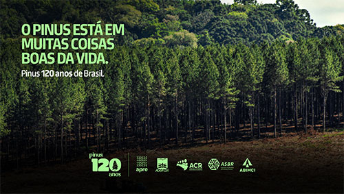 Campanha institucional mostra importância econômica, social e ambiental do Pinus, após 120 anos no Brasil