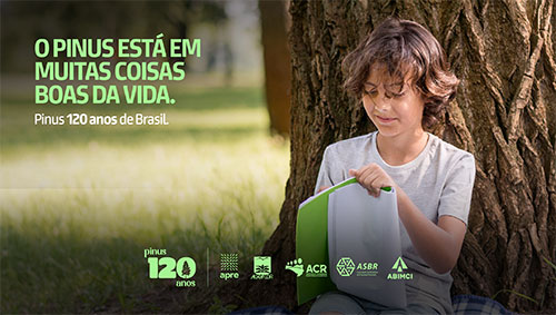 Campanha institucional mostra importância econômica, social e ambiental do Pinus, após 120 anos no Brasil