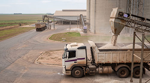 Do porto ao talhão, logística e dados entram na conta da eficiência dos fertilizantes