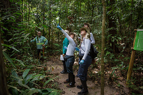Biodiversidade invisível da Mata Atlântica pode impulsionar a biotecnologia e a conservação do bioma