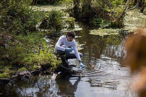 Biodiversidade invisível da Mata Atlântica pode impulsionar a biotecnologia e a conservação do bioma