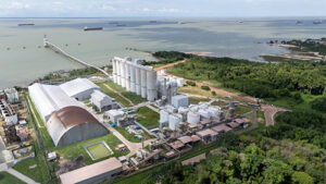 Mineração do Pará se reinventa na logística portuária diante de desafios operacionais