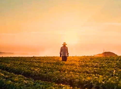 Ascenza Brasil transforma especialização em propósito para estreitar o relacionamento com o produtor rural