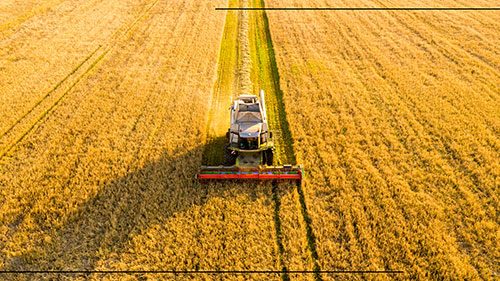 Proximidade com o produtor impulsiona expansão da venda direta em Mato Grosso e no MATOPIPA