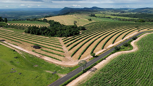 El Niño reforça urgência de preparar a próxima safra para eventos climáticos extremos, alerta Coalizão Brasil