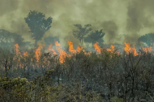 Risco de "Super El Niño" reacende alerta para a safra 2026/27 no Brasil