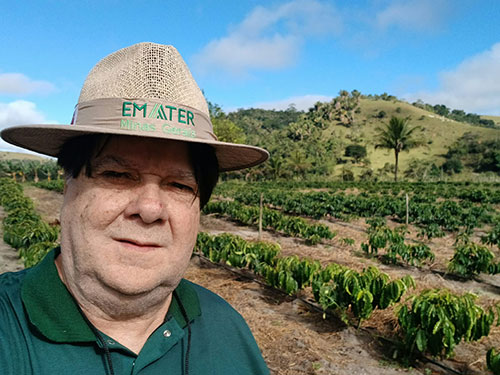 Uso de silicato na correção do solo alcança mais de 60 culturas em Minas Gerais