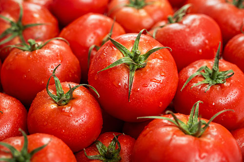 Área de tomate cresce 10,8% em SP, mas produtividade cai 11,5%