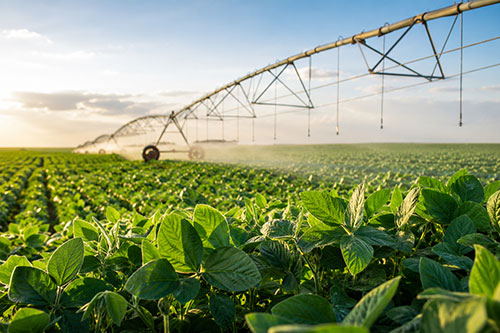 Irrigação muda a conta do hectare e abre espaço para novas safras no Triângulo Mineiro