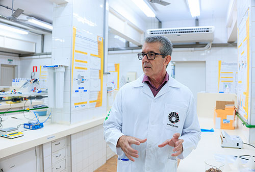 Cajueiro ganha nova possibilidade de aproveitamento com tecnologia da Unicamp