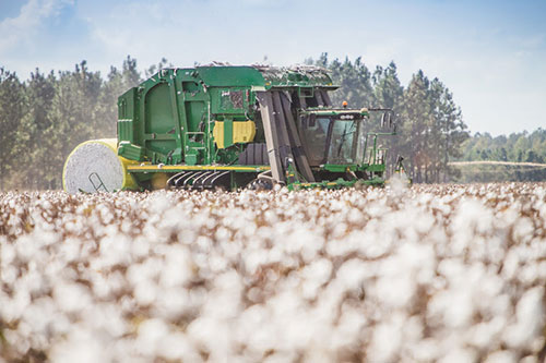 MOTOMCO faz pré-lançamento do Cotton Flux durante o 15º Congresso Brasileiro do Algodão
