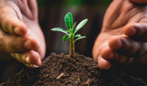 Produção nacional de fosfatados ganha relevância diante da dependência brasileira de fertilizantes