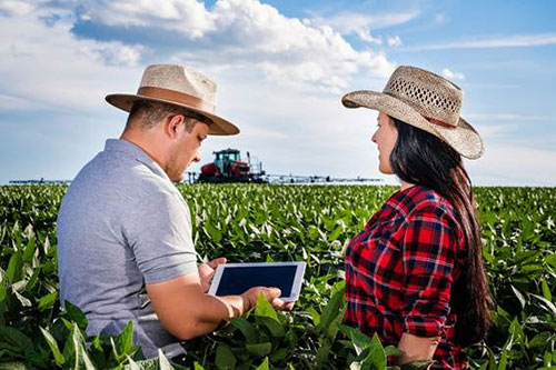 Novas profissões no campo: IA e agricultura de precisão transformam o mercado de trabalho