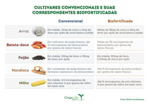 Biofortificação: como ampliar a qualidade nutricional dos alimentos desde o campo