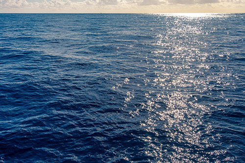 Avanço do offshore impulsiona demanda por soluções de acesso em plataformas e navios