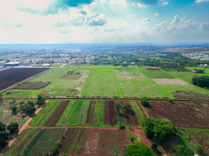 Nova modalidade de ingresso no Parque Cientifico e Tecnológico da Unicamp disponibiliza áreas de campo experimental agrícola para empresas