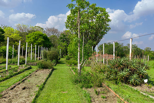 Nova modalidade de ingresso no Parque Cientifico e Tecnológico da Unicamp disponibiliza áreas de campo experimental agrícola para empresas