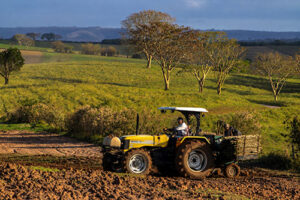 Trabalho no campo: manutenção preventiva de máquinas agrícolas evita prejuízos na safra