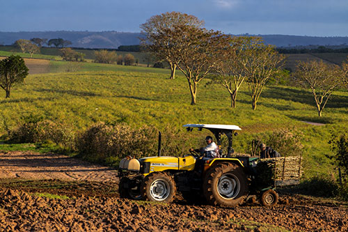 Trabalho no campo: manutenção preventiva de máquinas agrícolas evita prejuízos na safra