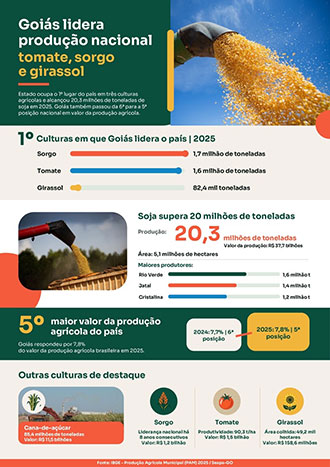 Goiás se consolida na liderança de três culturas e colhe 20,3 milhões de toneladas de soja