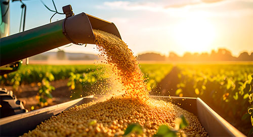 Pesquisa da Síntese Agro Science identifica bactéria capaz de reduzir em 67,8% nematoide que ataca raízes da soja